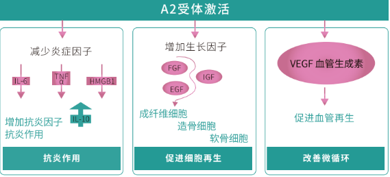 PDRN,恒昱PDRN,PDRN原研专利,PDRN原料 ,PDRN生产,PDRN护肤,三文鱼PDRN,HYPDRN