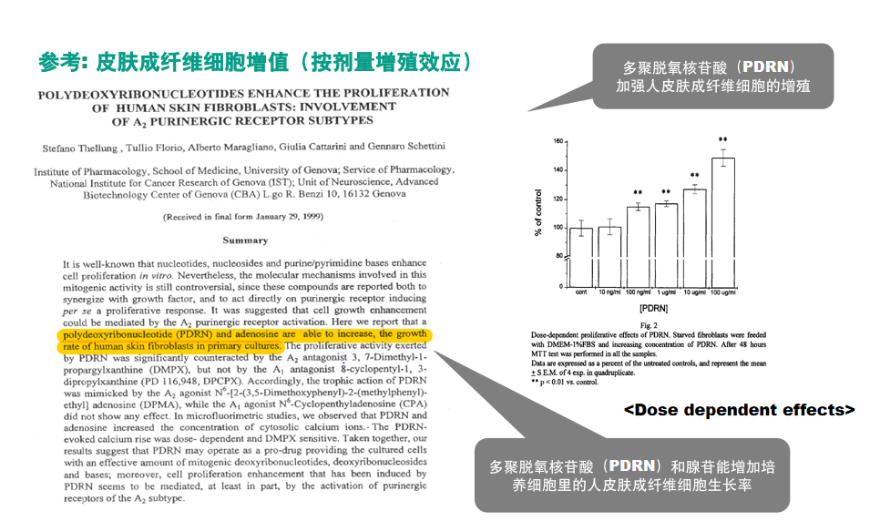 PDRN,恒昱PDRN,PDRN原研专利,PDRN原料 ,PDRN生产,PDRN护肤,三文鱼PDRN,HYPDRN