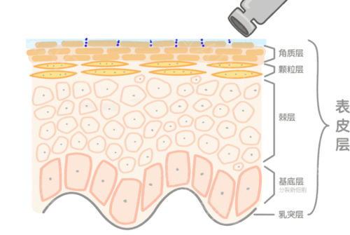 PDRN,恒昱PDRN,PDRN原研专利,PDRN原料 ,PDRN生产,PDRN护肤,三文鱼PDRN,HYPDRN,PDRN化妆品