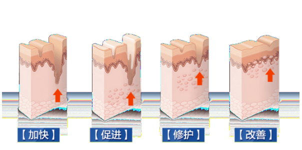 PDRN,恒昱PDRN,PDRN原研专利,PDRN原料 ,PDRN生产,PDRN护肤,三文鱼PDRN,HYPDRN,PDRN化妆品