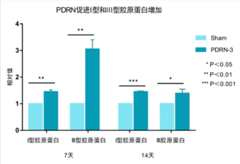 PDRN,恒昱PDRN,PDRN原研专利,PDRN原料 ,PDRN生产,PDRN护肤,三文鱼PDRN,HYPDRN,PDRN化妆品